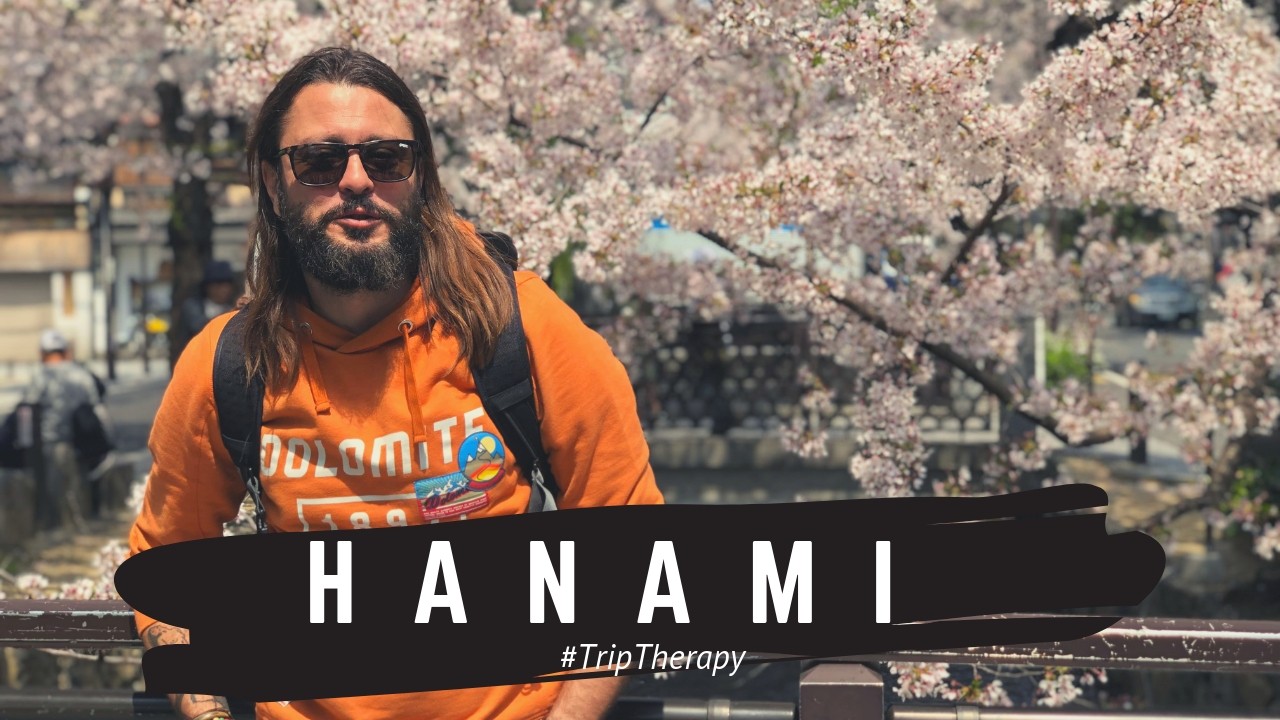 Hanami in Kyoto