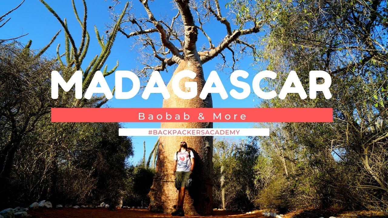 Baobab in Madagascar