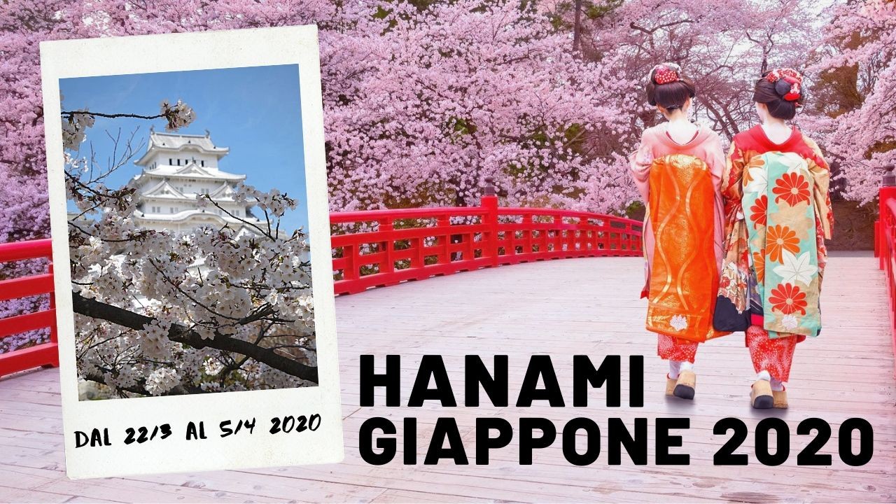 hanami-giappone-2020