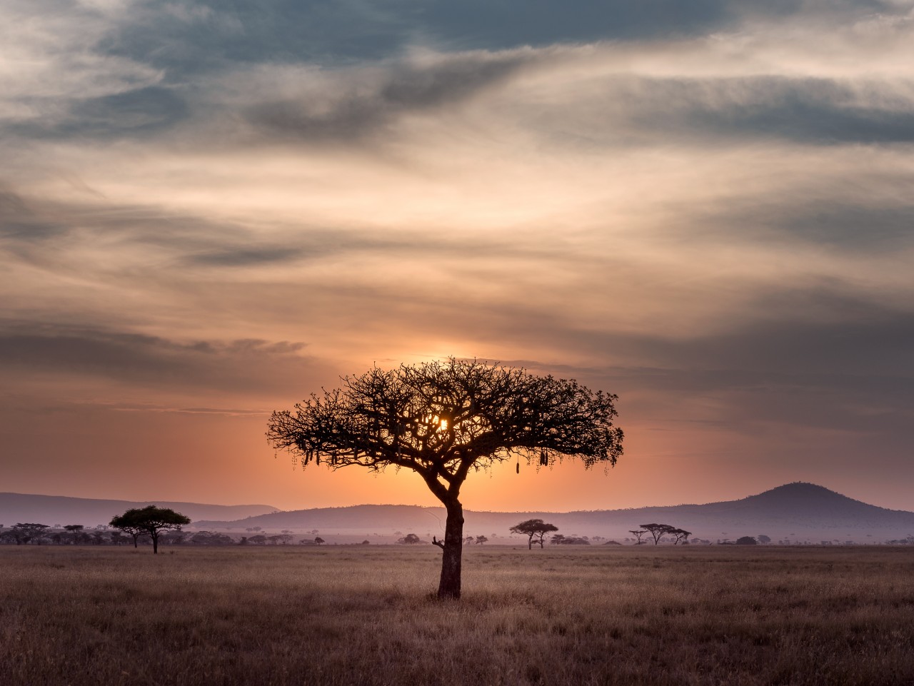 TRAVELS AND DIABETES: AFRICA