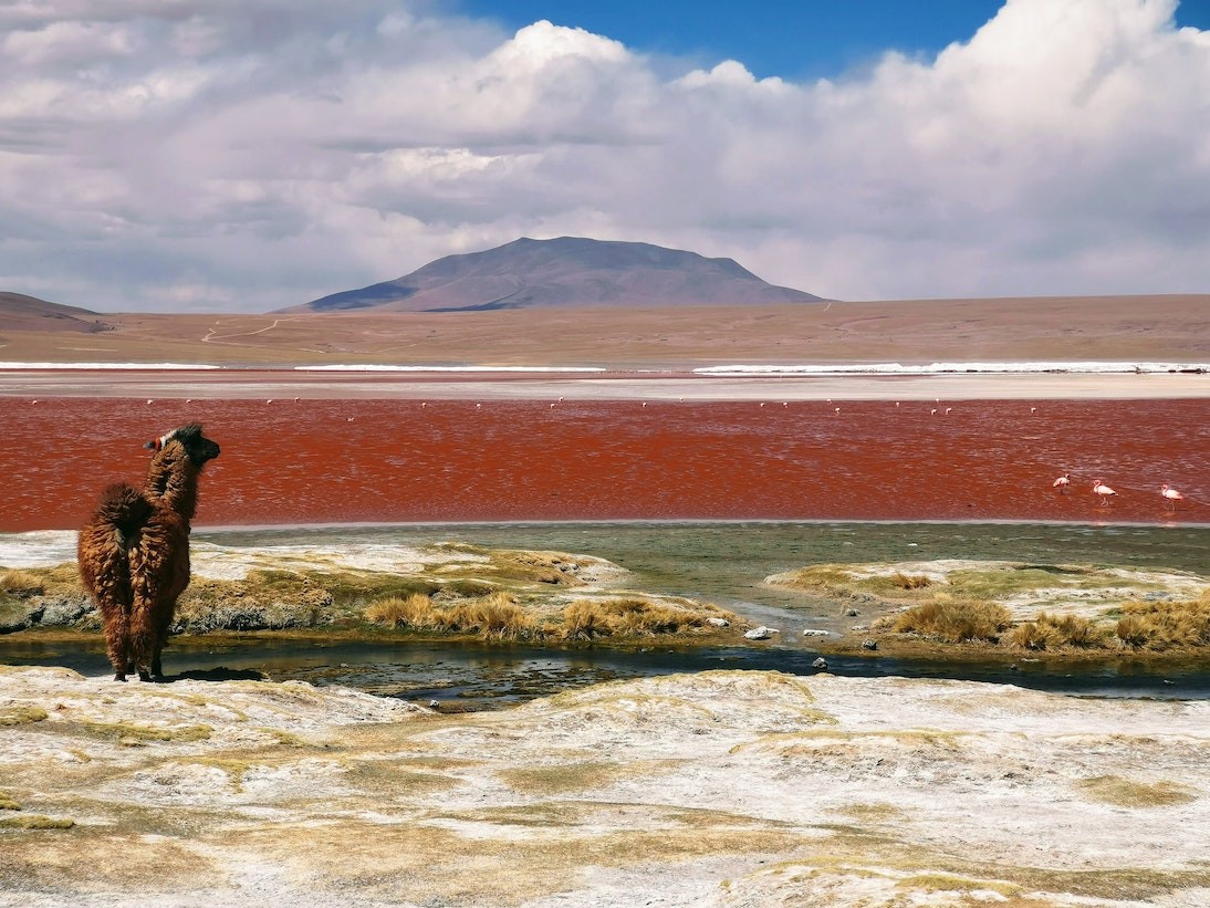 Travel in  Bolivia: some tips 
