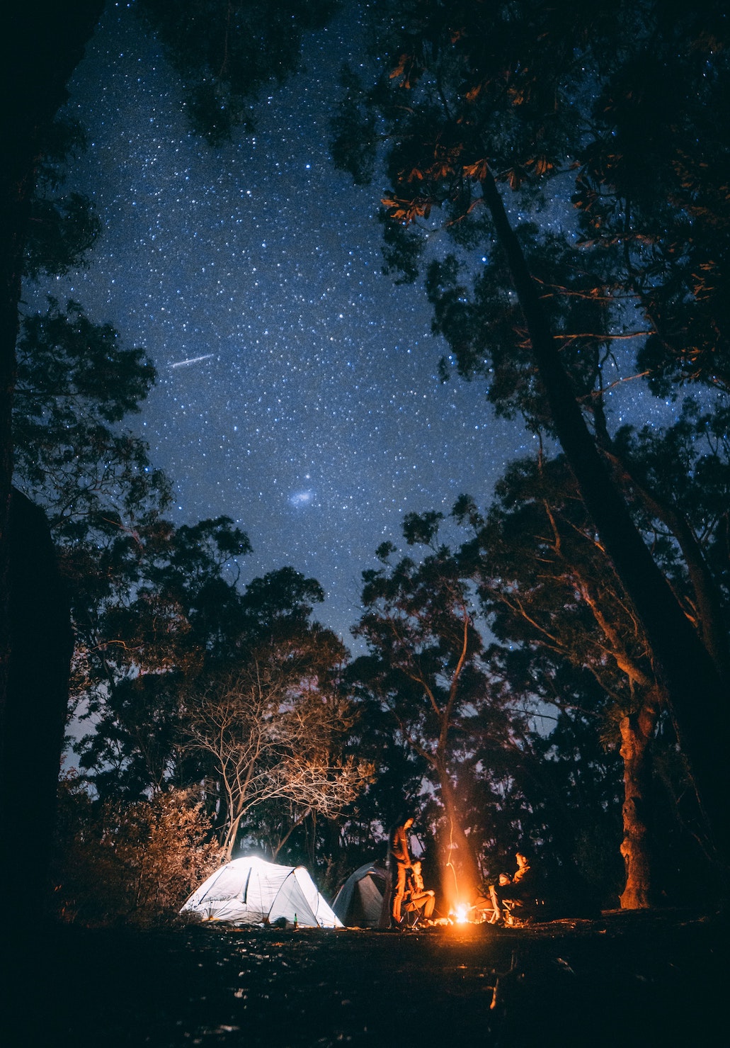 jonathan-forage-1azAjl8FTnU-unsplash.jpg
