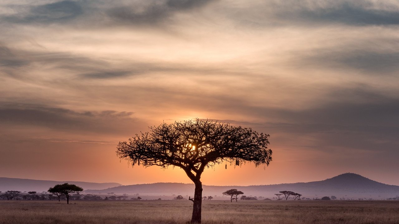 TRAVELS AND DIABETES: AFRICA