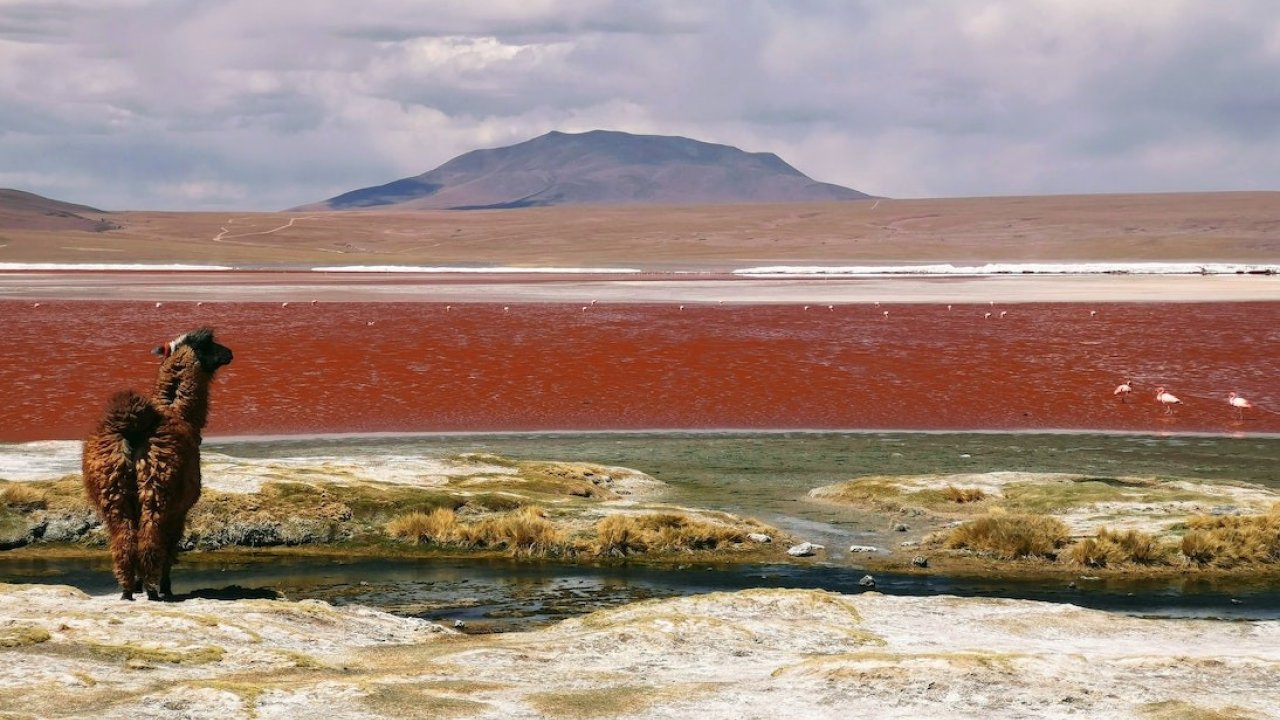 Travel in Bolivia: some tips for an unforgettable journey