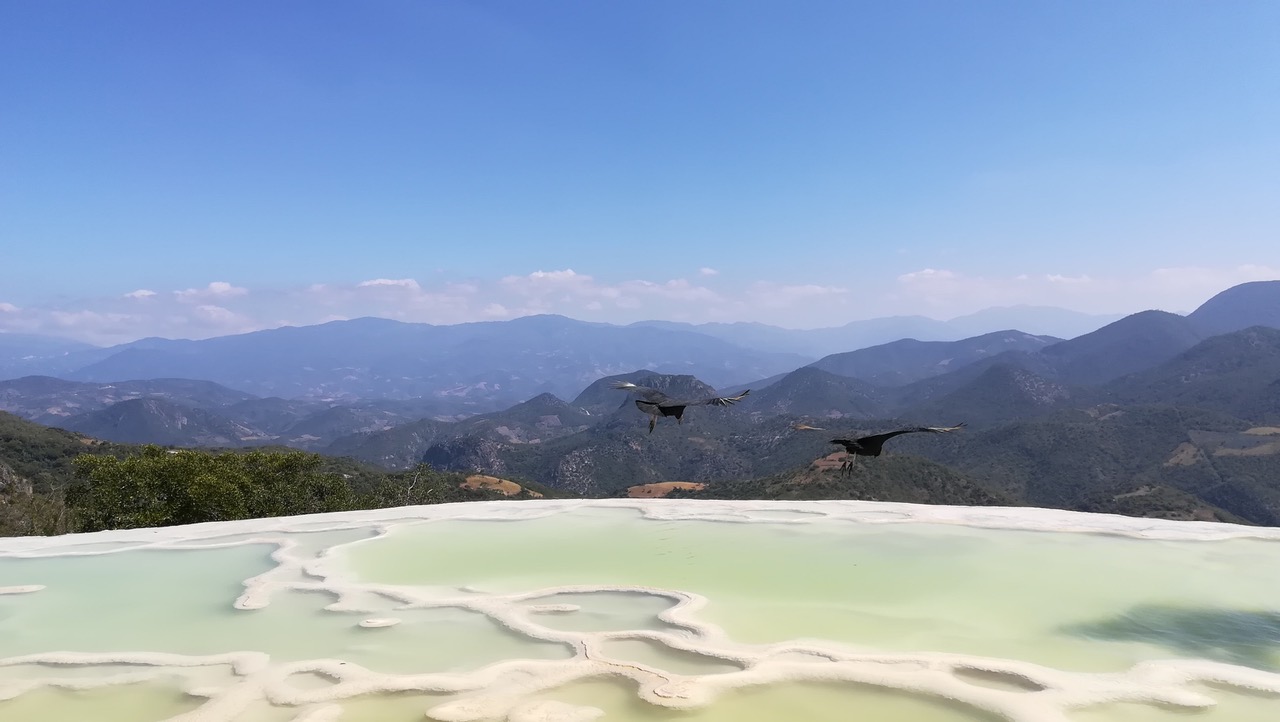 t-a-BE2Xm2JgwrY-unsplash.jpeg