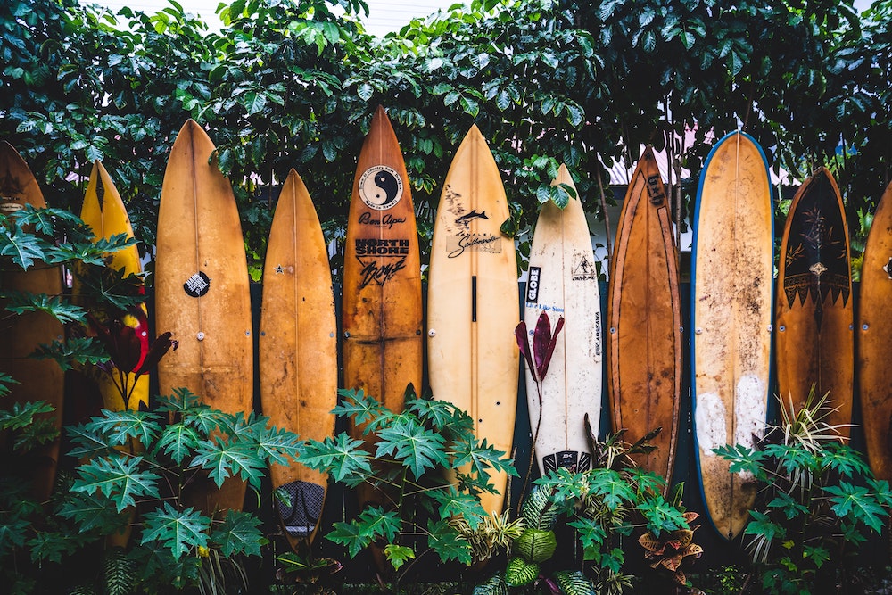 tatonomusic-FFCgotROOTY-unsplash.jpg